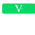 VWorld
