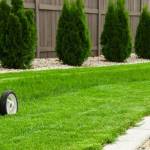 grassmaster