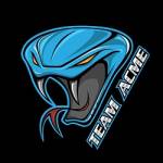 Team Inc