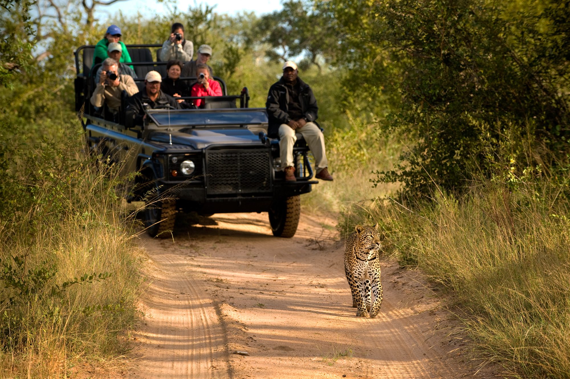 Sabi Sands Lodges Reservations - Sabi Sand Nature Reserve