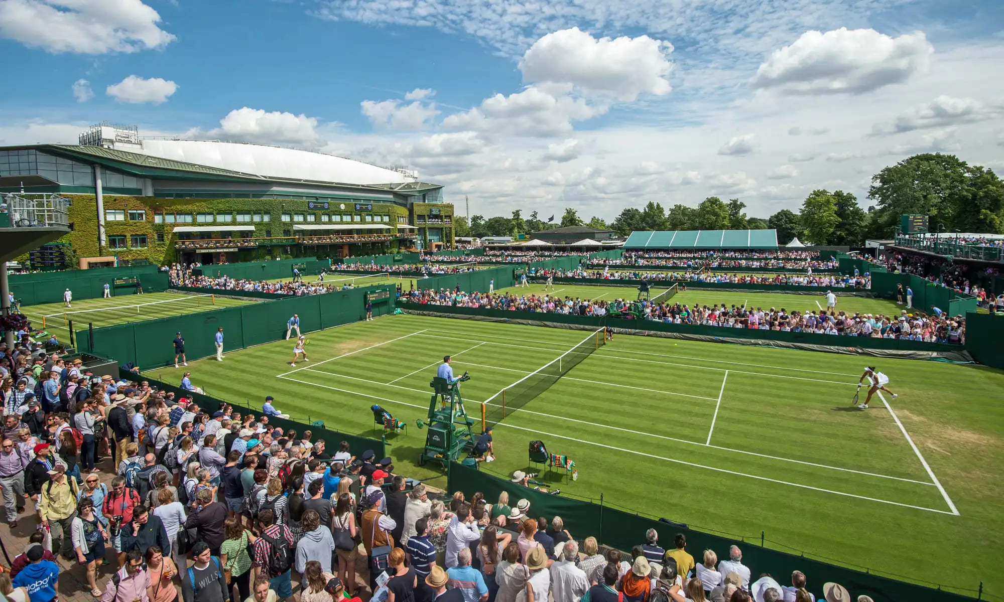 Your Guide to Wimbledon 2025 – Top Wimbledon 2025 Matches - TheBlogyfi