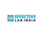 Effective Lab India