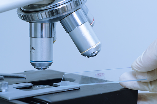 B.Sc Medical Microbiology College in Dehradun, Uttarakhand