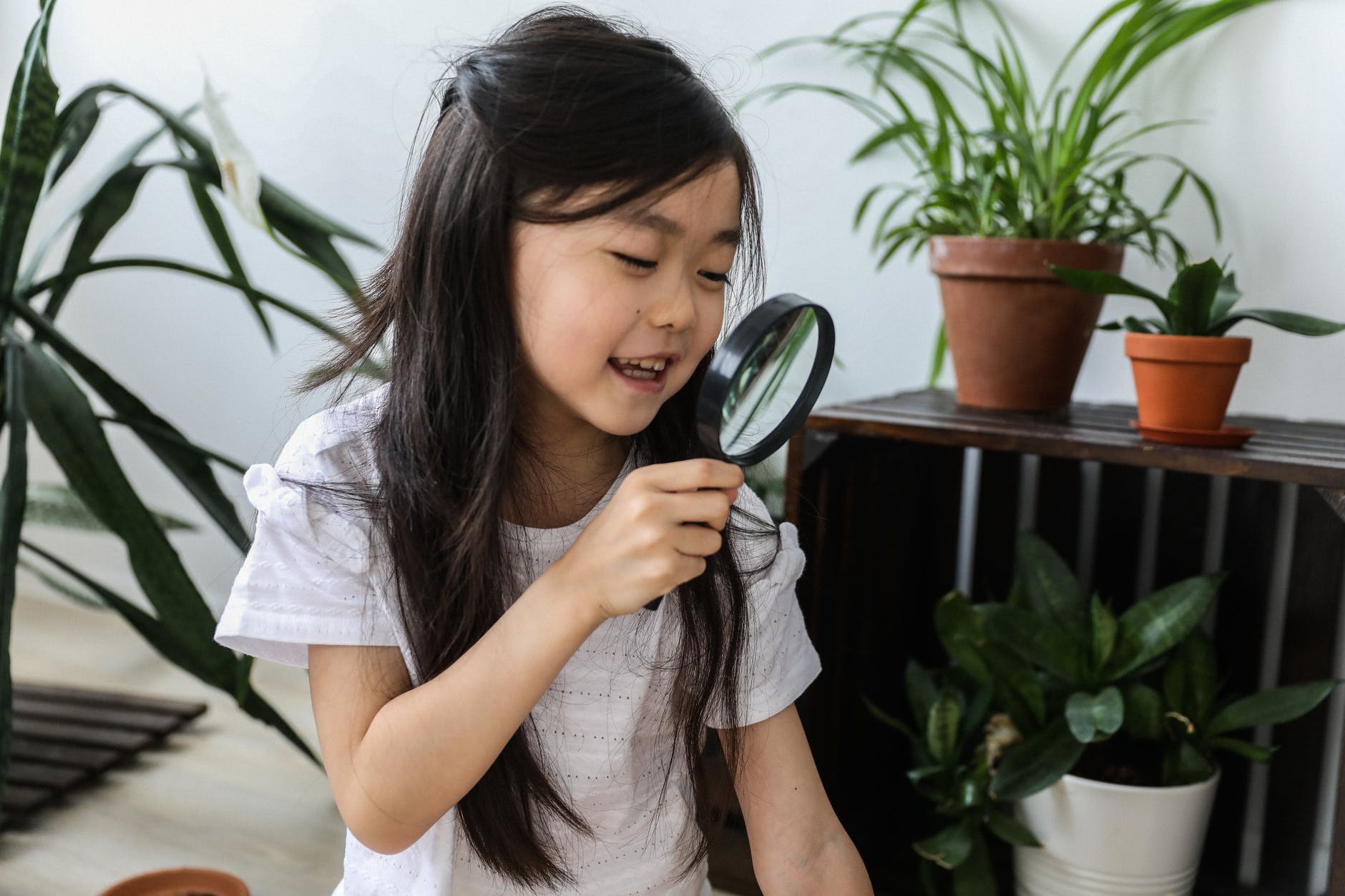 Leading Teaching Strategy Resources For Educators