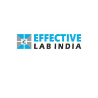 Effective Lab India