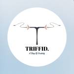 Triffid Marketting Agency