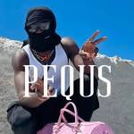 Pequs Pequs