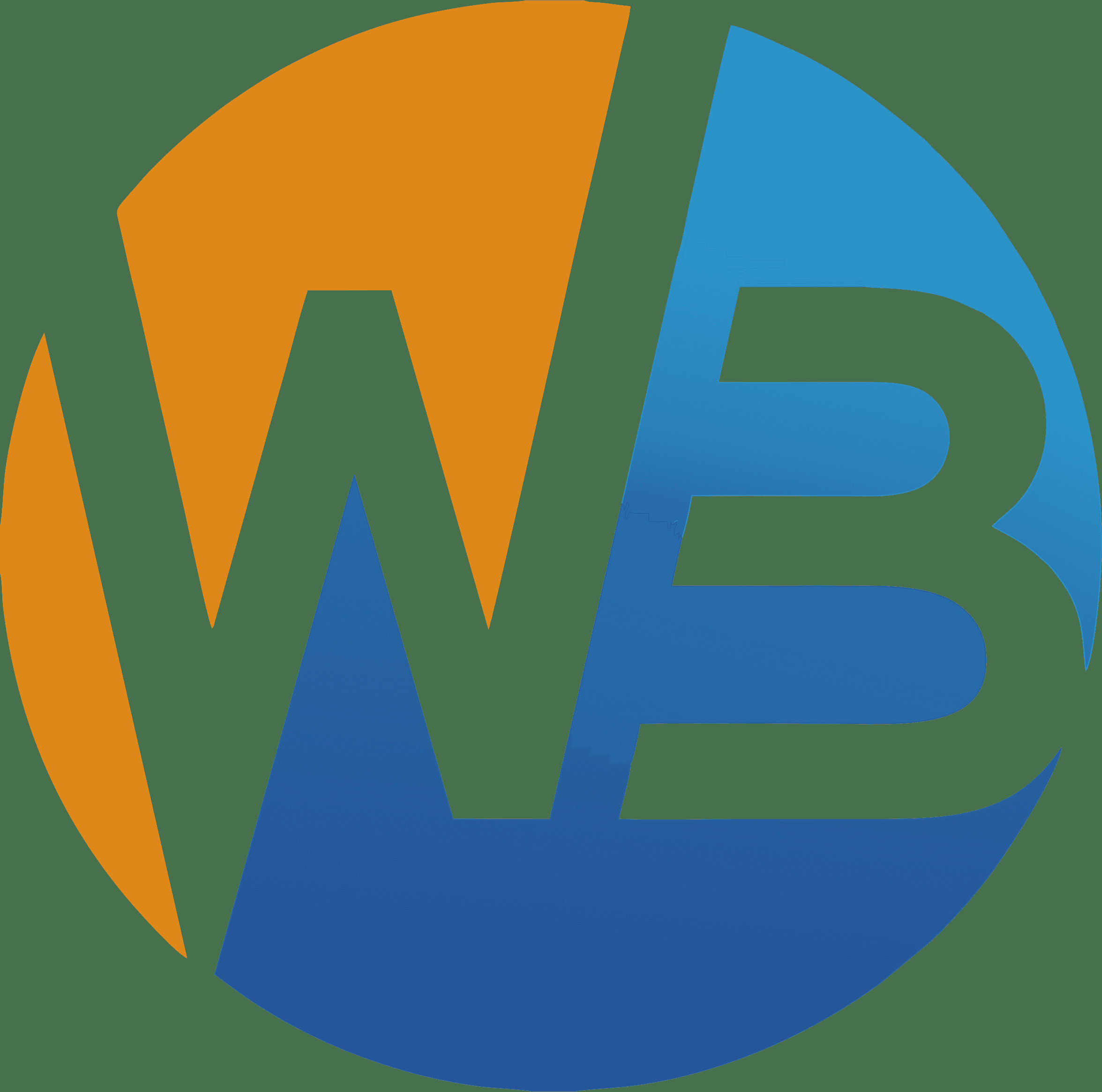 Web Brain webbraininfotech
