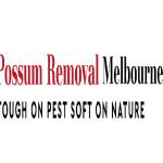 Possum Removal Melbourne