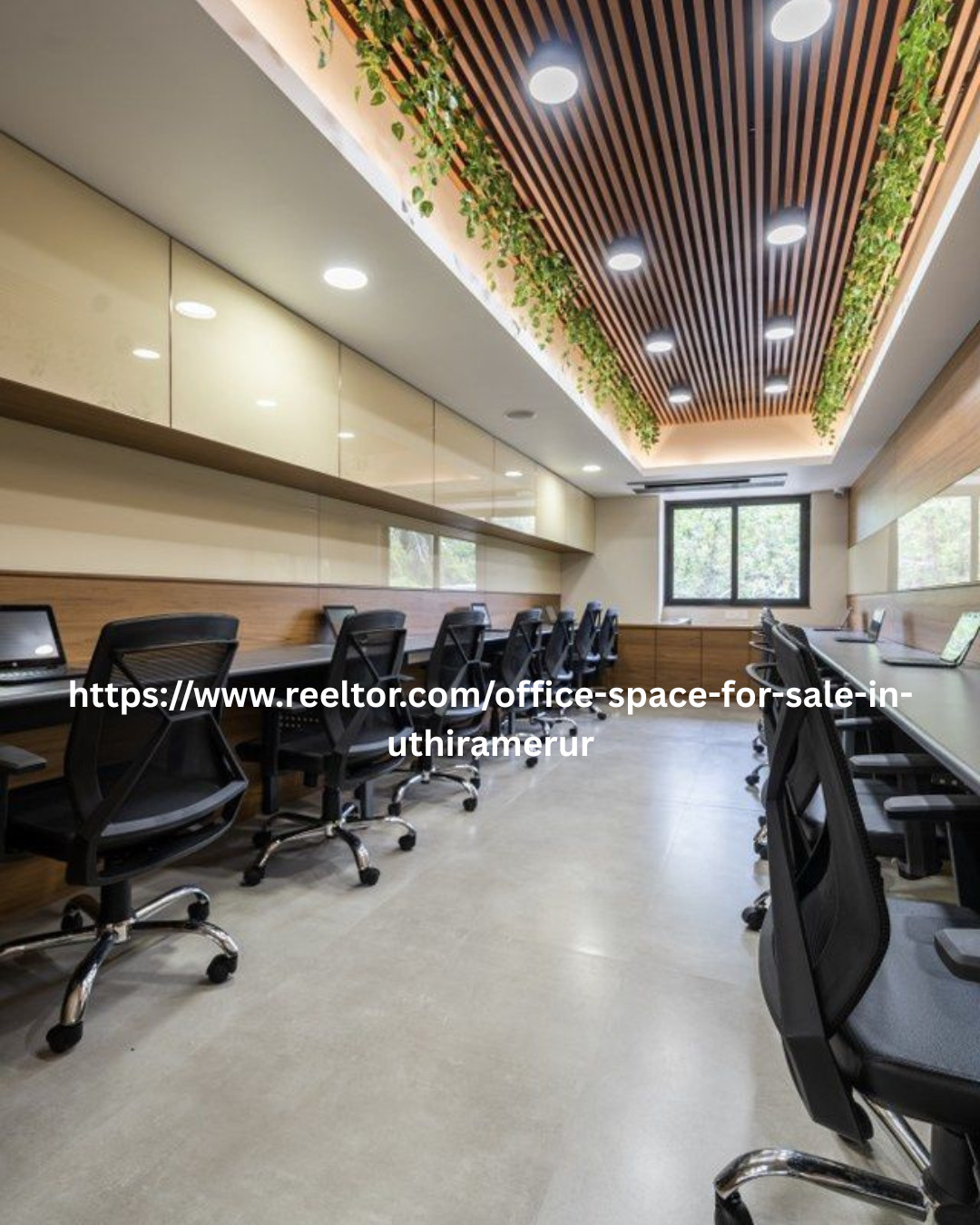 reeltor reeltor