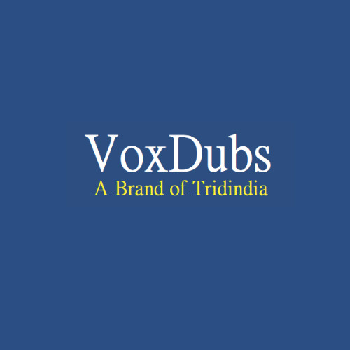VoxDubs Company