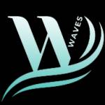 Webinar waves