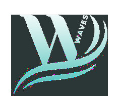 Webinar waves