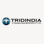 TridIndia Company