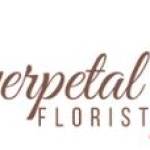 Everpetal Florist
