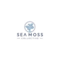 Sea Moss Collective