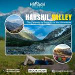 himadri travels